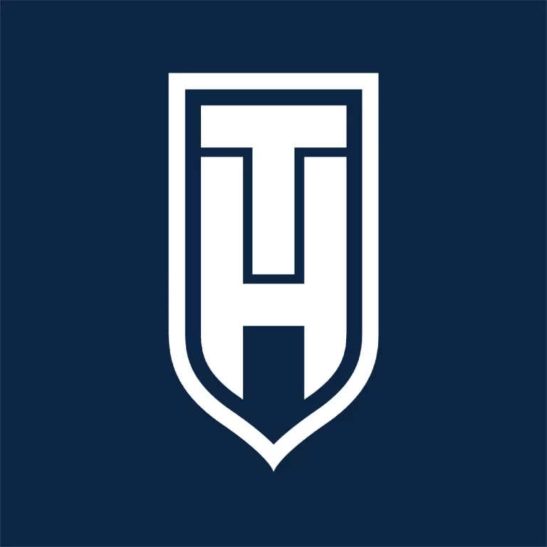 This is the logo for True Hire added to ncsnightnanny.com for reference purposes only.